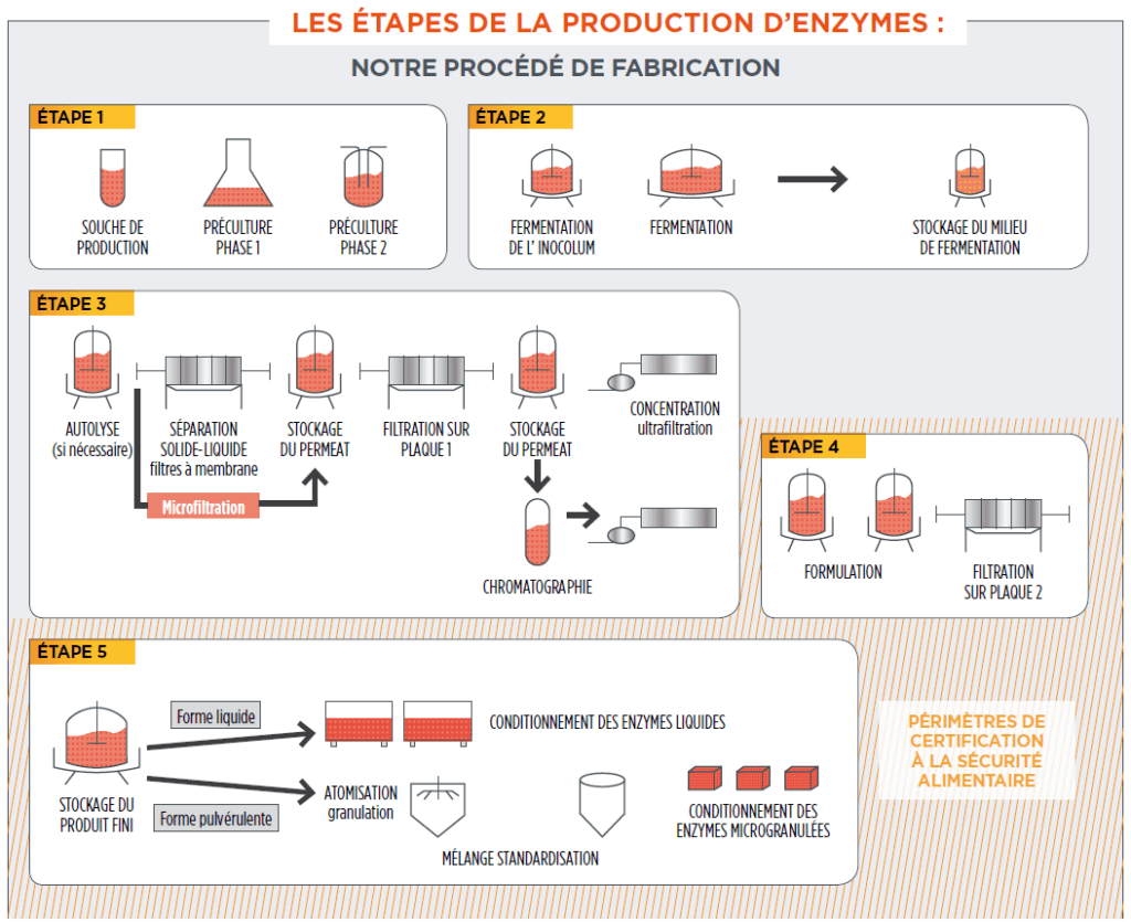FR-PRODUCTION-enzymes-rapidase