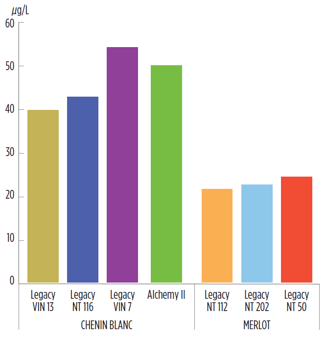 solution-arome-defauts-vin-gouts-fumee-levures-fr