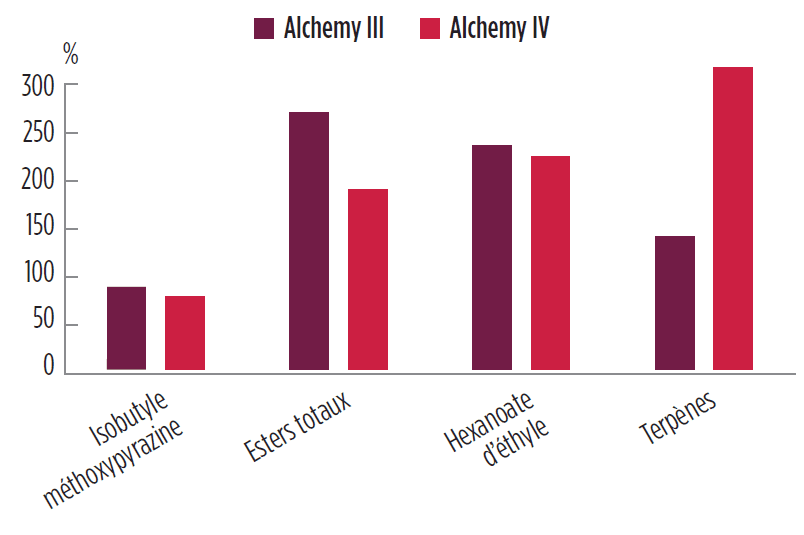 solution-sensation-organoleptique-texture-volume-alchemy-anchor-levures