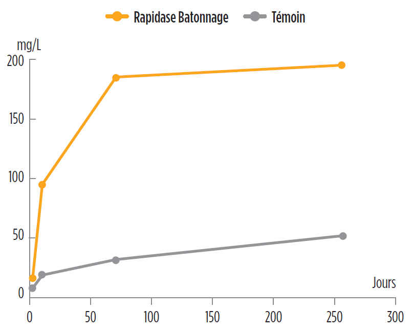 volume-rapidase-batonnage