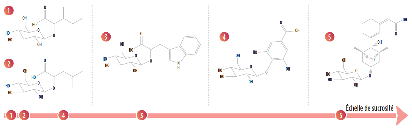 solution-sensation-organoleptique-texture-volume-sucrosité-fr