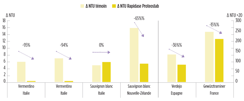 solution-stabilisation-proteique-proteine-rapidase-proteostab-enzymes-vin