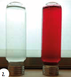 pectin test negative level 1