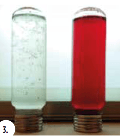 Pectin test positive level 2