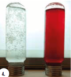 Pectin test positive - level 3 