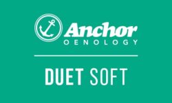 Duet Soft