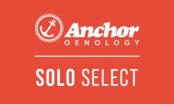 Solo Select
