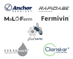 Marchi Oenobrands: Anchor, Fermivin, Rapidase, Claristar e Final Touch