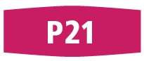 Fermivin P21