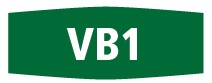 Fermivin VB1