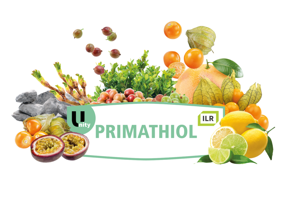 fermivin souches 2026 primathiol
