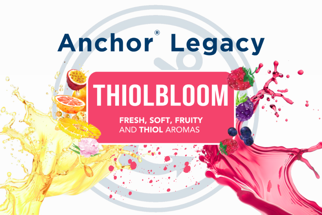 anchor legacy thiolbloom visual news