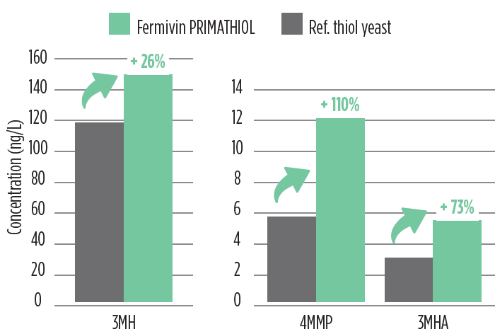 product fermivin primathiol 2026 fig 1